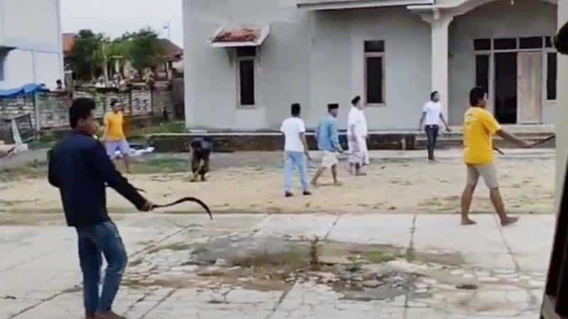 Fakta Sosok Jimmy Sugito Putra, Korban Carok Tragis di Sampang