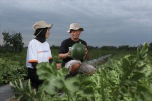Mau Daftar Petani Milenial 2024? Begini Cara Daftar dan Persyaratanya