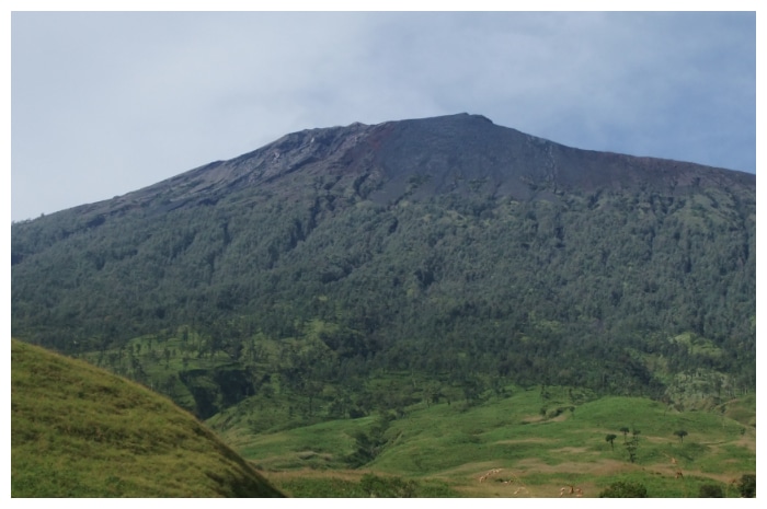 Pasca Kebakaran, TNGR Buka Kembali Jalur Pendakian Senaru Gunung Rinjani