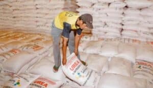 Masuki Musim Tanam, PT Pupuk Indonesia Salurkan 6,6 Juta Ton Pupuk Bersubsidi, Ini Rinciannya