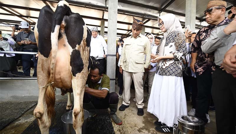 Idustri Pengolahan Susu Segar Jatim Masih Defisit 800 Ton Per Hari