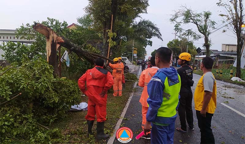 Hujan Angin Juga Merusak Puluhan Rumah dan Robohkan Pohon di Magetan