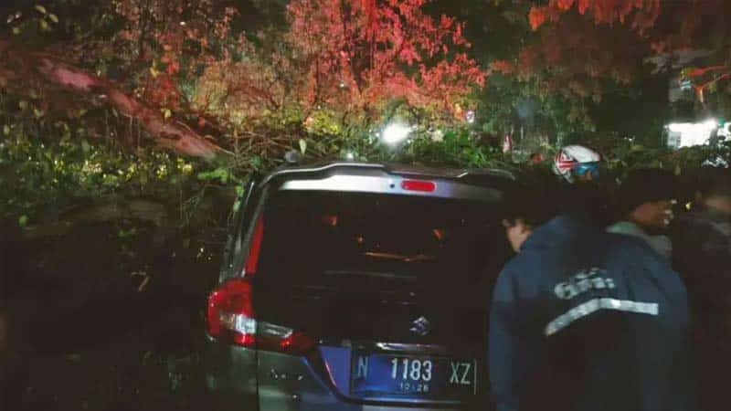Seorang Meninggal, Mobil Tertimpa Pohon Roboh di Tengah Jalan Singosari Malang