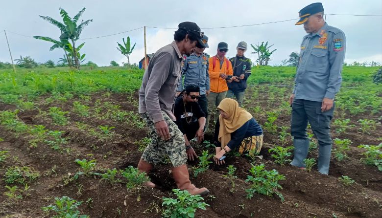tanam pohon