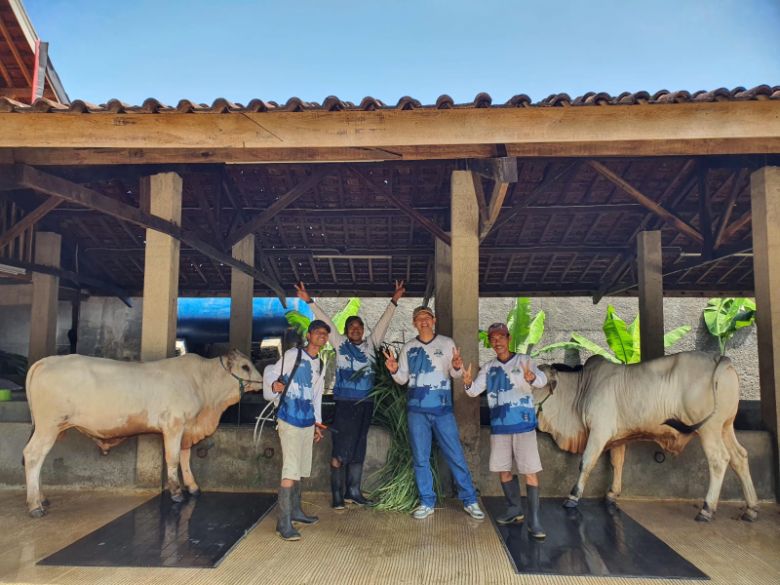 Kandang Abah Bogor, Destinasi Utama untuk Pencarian Hewan Ternak Berkualitas