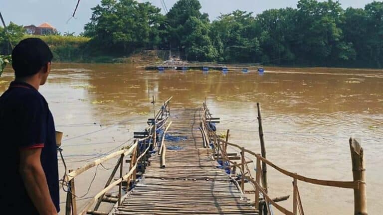 Jembatan Ambruk di Tanggul Jember