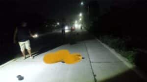 Leher Nyangkut Kabel Internet di Jombang Pria Tuban Terpelanting Membawa Duka