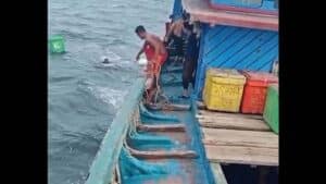 Kapal Nelayan Karam di Tanjung Siapiapi 12 Selamat Satu Tewas Satu Hilang