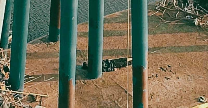 pria di bawah jembatan