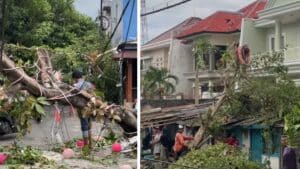 Puting Beliung Serang Surabaya Puluhan Rumah Atap Terbang, Mobil Terlempar ke Sungai