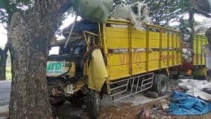 Pengemudi Truk Jombang Tabrak Pohon di Wilangan Nganjuk
