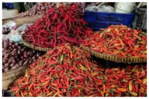 Harga Cabai Rawit Merah Meroket, Ternyata Ini Penyebabnya Menurut Bapanas