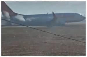 Para Ahli Pertanyakan Teori Tabrakan Burung sebagai Penyebab Kecelakaan Jeju Air