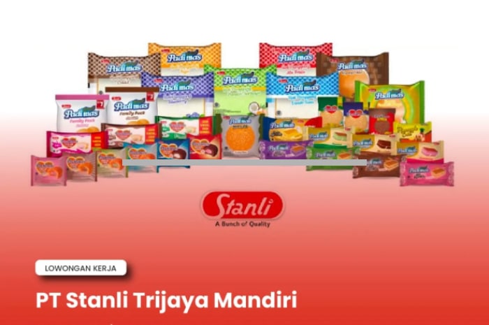 3 Posisi Sekaligus! PT Stanli Trijaya Mandiri Bandung Buka Loker Buat Lulusan SMK, D3, dan S1