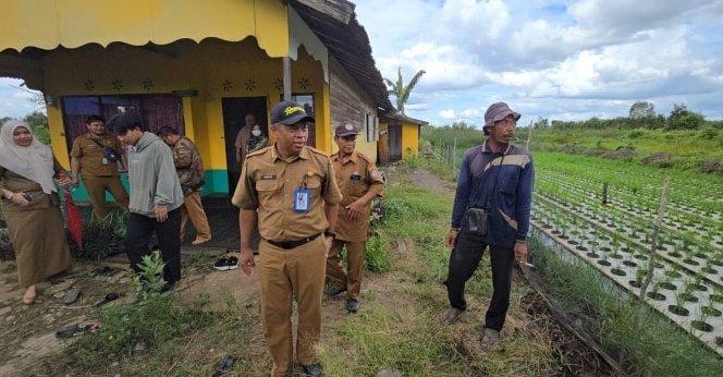 Lahan warga ditanami bibit tanaman holtikultura. (ist)