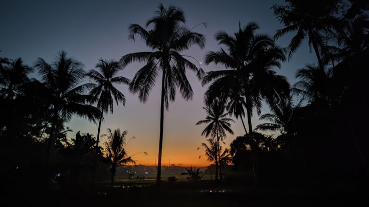 Makanan Sore yang Enak