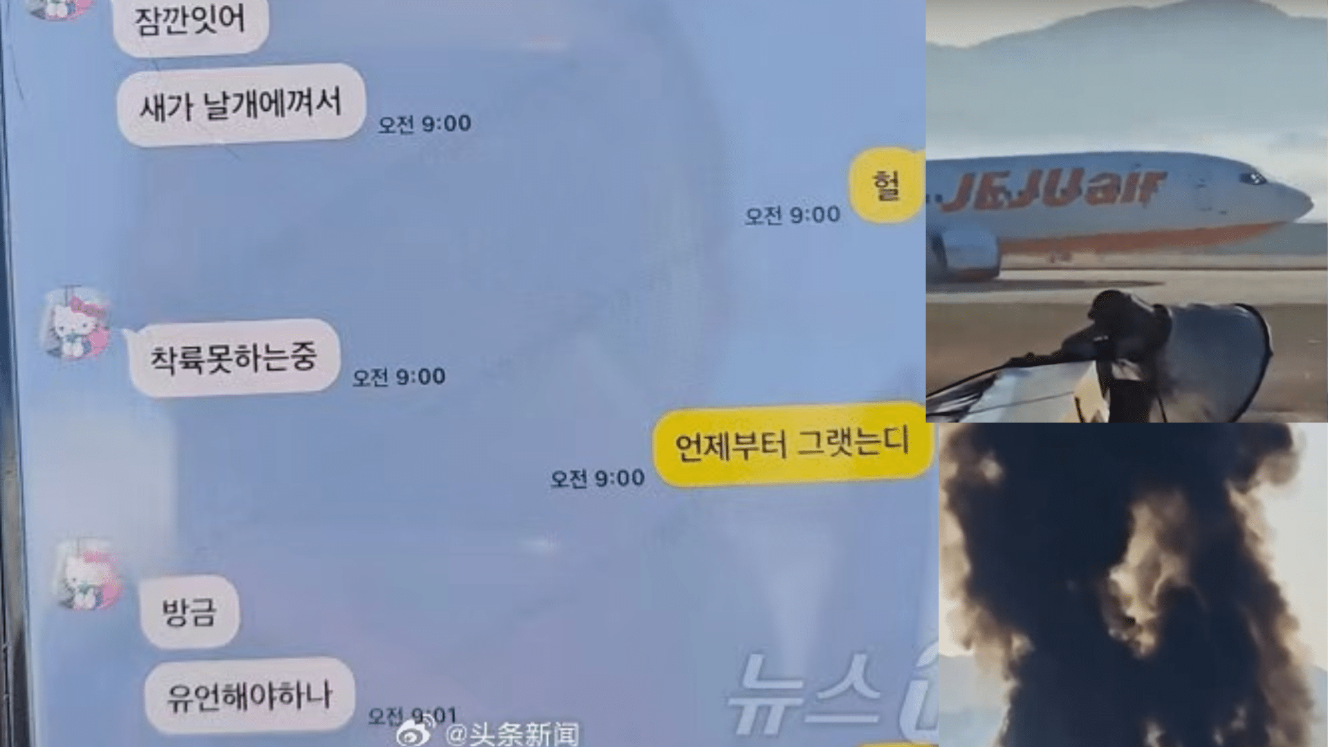 Serangan Burung Diduga Penyebab Kecelakaan Pesawat Jeju Air, Terungkap dari Pesan KakaoTalk Penumpang