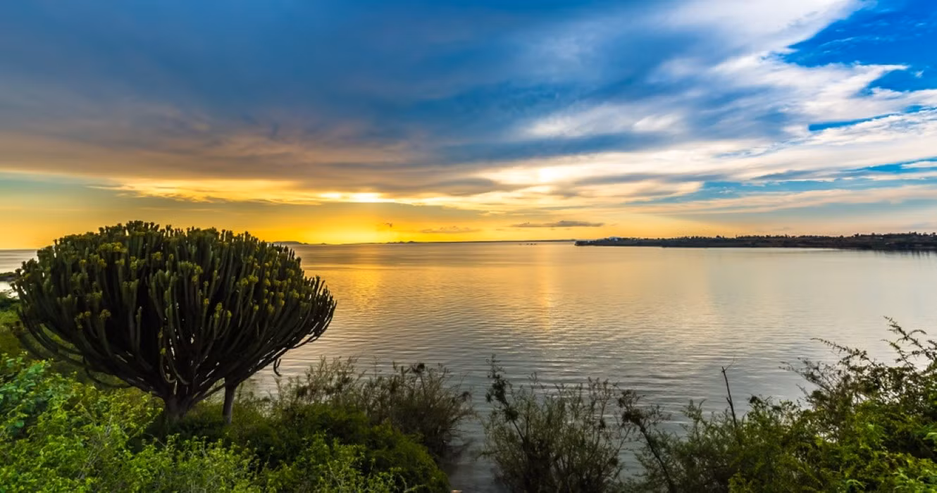 Doc Google: Danau Victoria