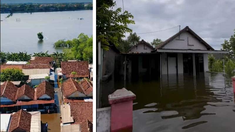 Banjir Mojokerto Parah, Desa Tempuran Sooko Lumpuh Warga Mengungsi Listrik Padam