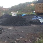 batubara hutan bayah