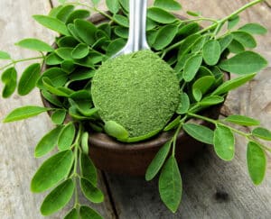 Menu Susu Pada Program Makan Bergizi Gratis Diganti Daun Kelor