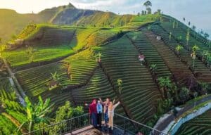 Wisata Terasering Panyaweuyan Majalengka Diperkirakan Ramai Selama Libur Nataru 2024/2025