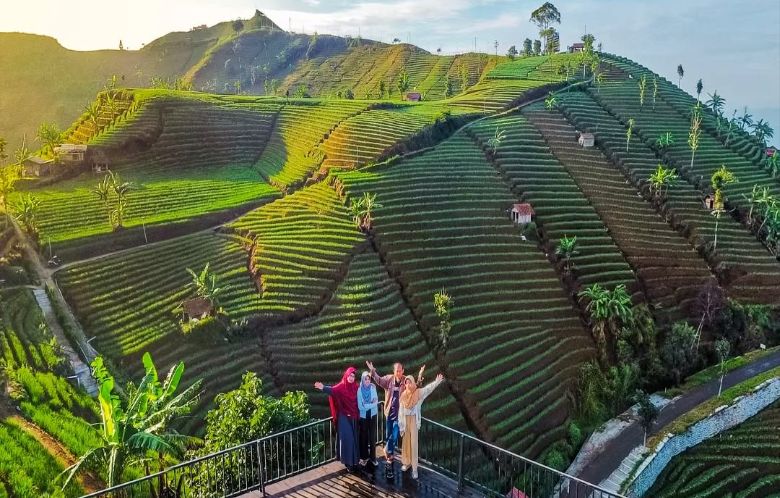 terasering panyaweuyan