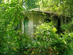 Misteri Kematian Siswi SMP di Sergai, Warga Menduga Korban Dihabisi di Rumah Kosong