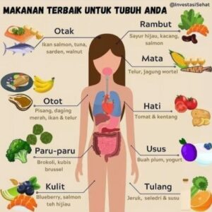 Langkah Awal Memulai Hidup Sehat