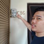 pln