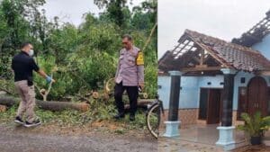 Warga Ponorogo Meninggal Tertimpa Pohon, Bencana Terjadi di Magetan, Jember, Bondowos dan Banyuwangi