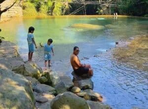 Lembah Tepus: Surga Tersembunyi di Taman Nasional Gunung Halimun Salak, Bogor