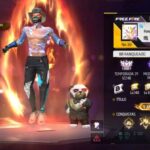 14 Akun FF Sultan Gratis Masih Aktif Hari Ini 7- 8 Januari 2025, Login via ID VK Dapat Skin Langka