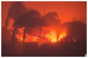 44 Orang Ditangkap Plus Petugas Gadungan dalam Momen Kebakaran Mengerikan di LA