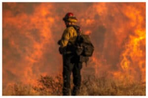 Kebakaran Los Angeles: 24 Orang Meninggal, 23.700 Hektar Hangus Terbakar, dan Kerugian Capai $250 Miliar