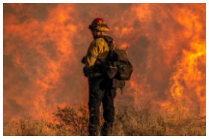 Kebakaran Los Angeles Hancurkan 12.000 Bangunan, 24 Orang Tewas