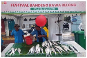 Lestari di Tengah Modernitas, Festival Bandeng Rawa Belong Kembali Digelar