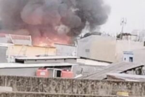 Gulkarmat Jakarta Pusat: Kebakaran di Mangga Besar Sudah Padam