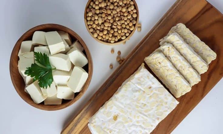 Jenis Makanan dan Minuman Produk Bioteknologi