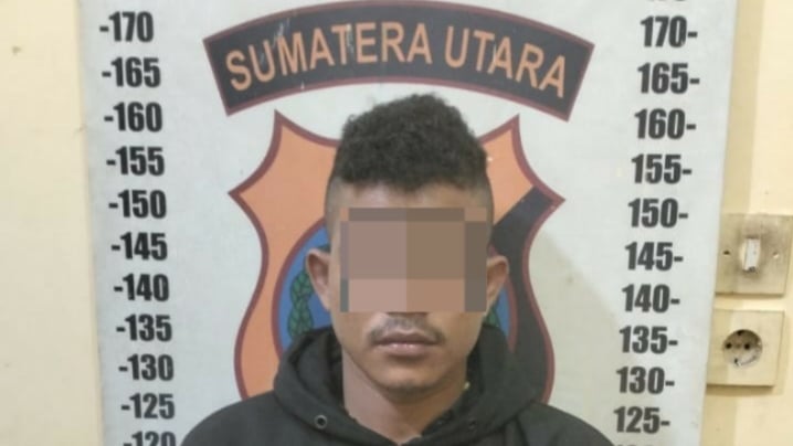 pemuda palipi