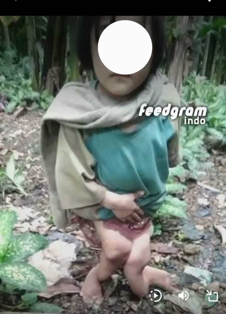 WhatsApp Image 2025 01 29 at 12.00.33