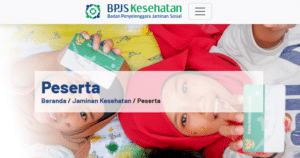 Berikut Daftar 20 Penyakit yang Tak Dicover BPJS Kesehatan Tahun 2025
