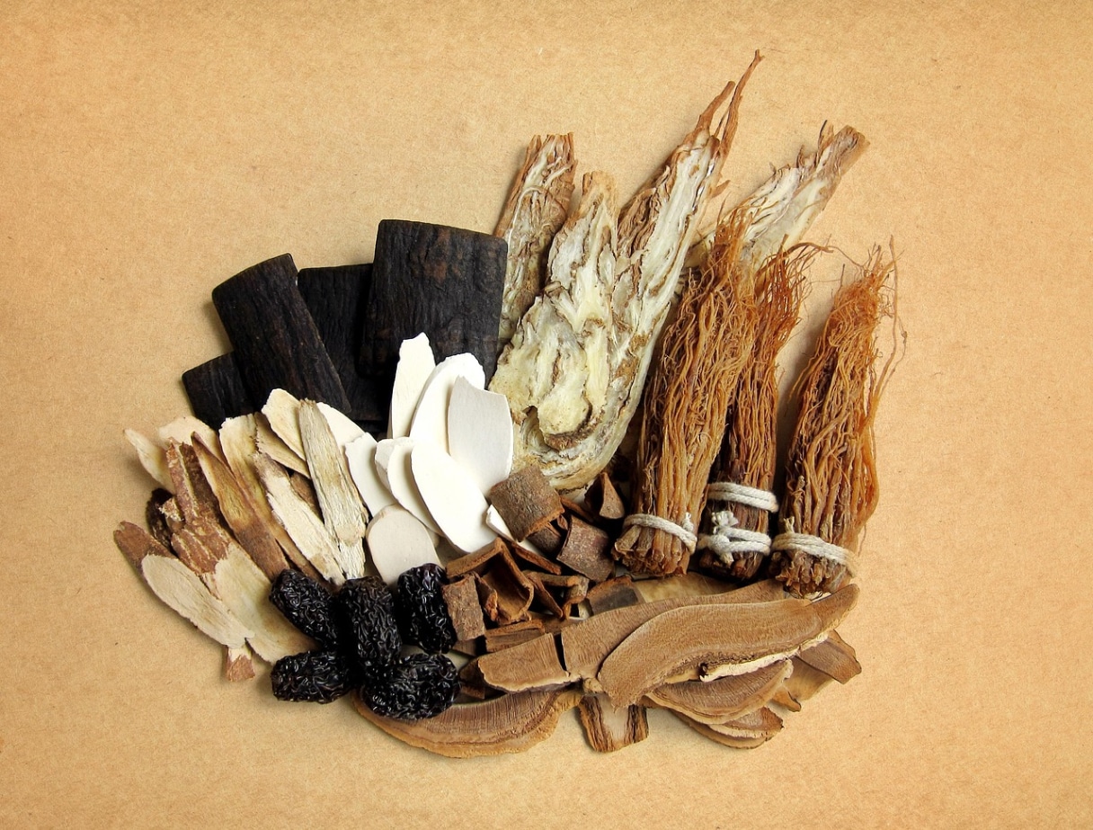 ginseng 1