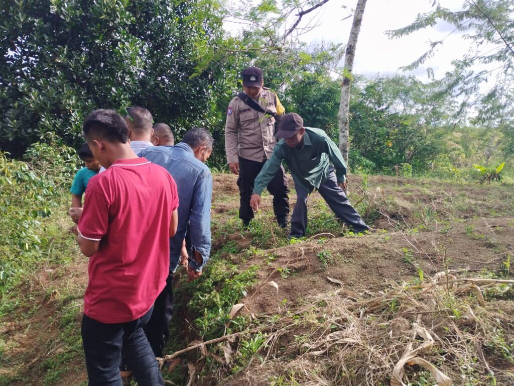 Jejak Kaki Harimau Ditemukan di Ladang, Warga Diimbau Waspada