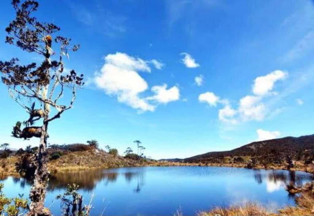 Inilah Tempat Wisata Terbaik di Wamena, Papua, yang Wajib Dikunjungi