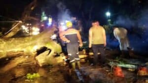 Bencana Hidrometeorologi Hantui Tulungagung Hujan Angin, Pohon Tumbang dan Banjir Kiriman Sudah Terjadi