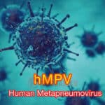 virus hmpv