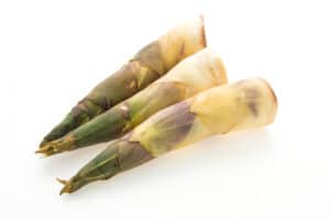 Manfaat Tak Terduga dari Makan Rebung di Musim Hujan
