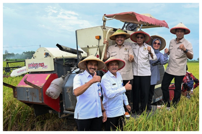 Produktivitas Sawah di Carikan Lebihi Rata-rata Nasional, DPR Soroti Kendala Petani