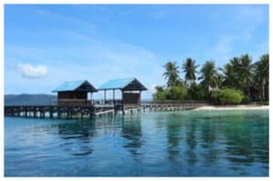 Arborek, Desa Wisata dengan Pesona Bawah Laut dan Budaya Lokal